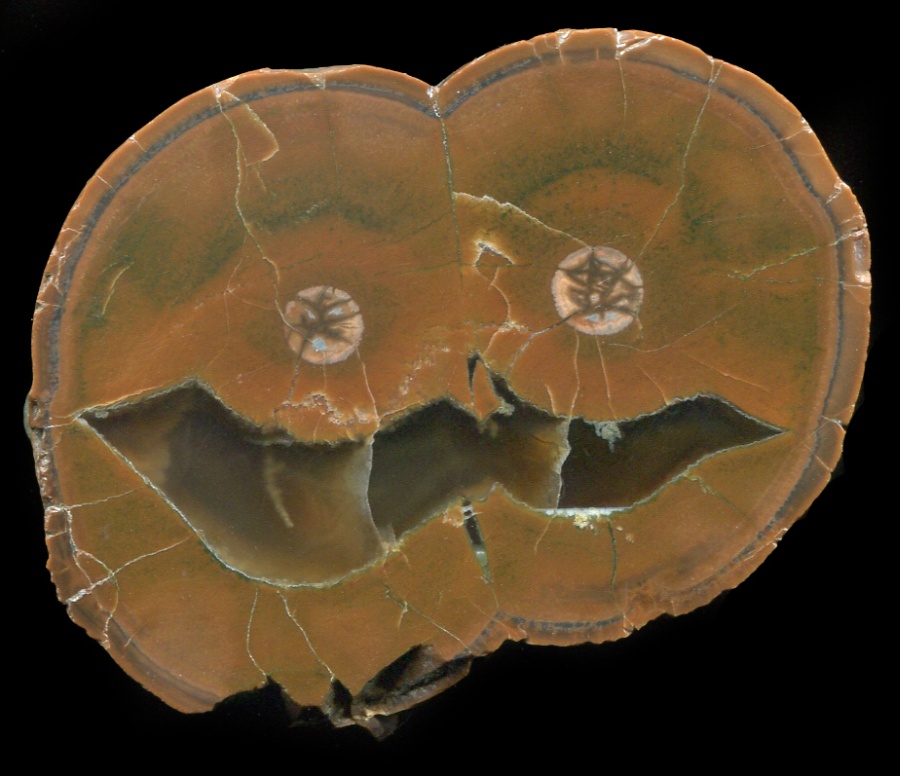 Double Piedra Parada Thunderegg with Halloween Face