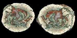Nesselhof Thunderegg