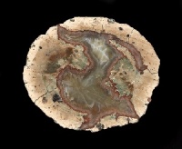 Nesselhof Thunderegg