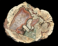 Nesselhof Thunderegg