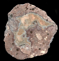 rotterode #1 Thunderegg