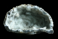 Oco Geode