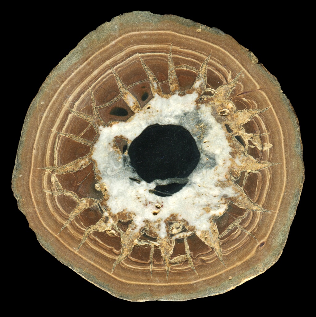 Septarian Nodule from Morocco