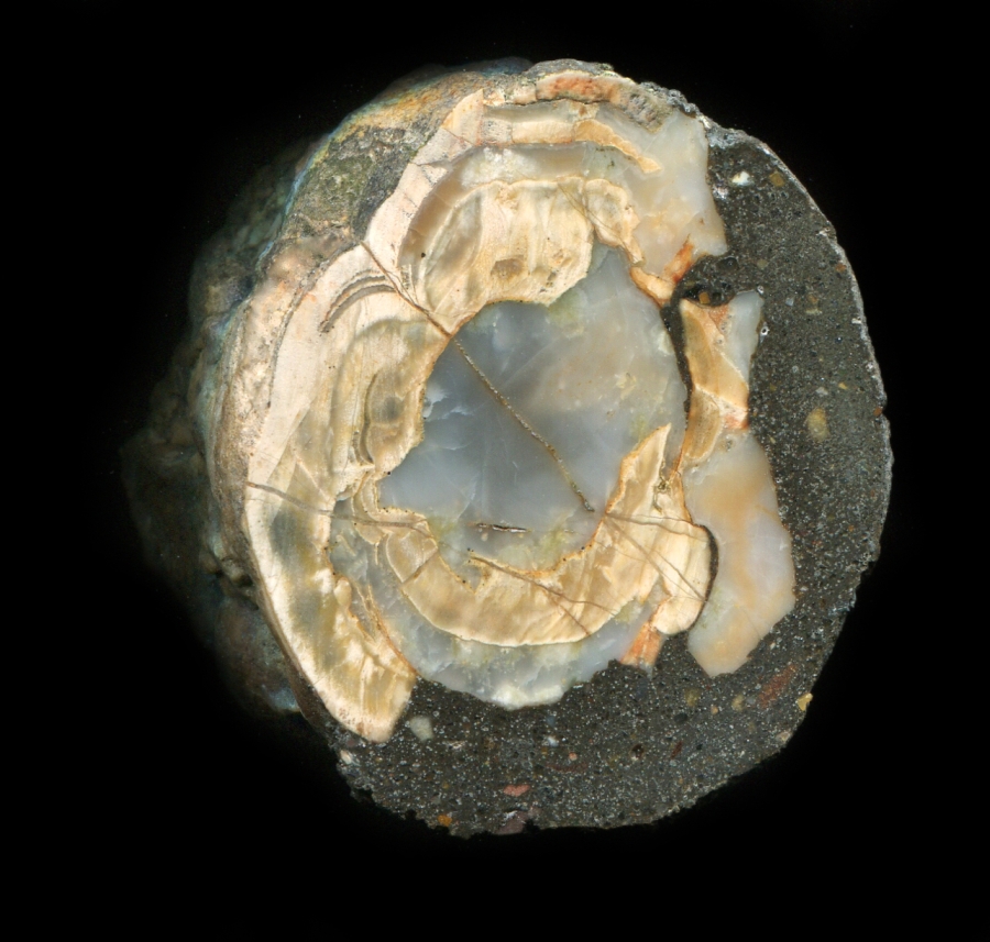 Salvaged Hollow Moor Thunderegg with Beautiful Chalcedony