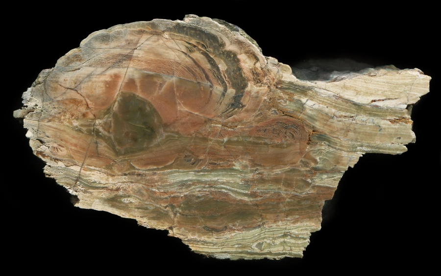 Sadgill #1 Thunderegg with Onion Rings