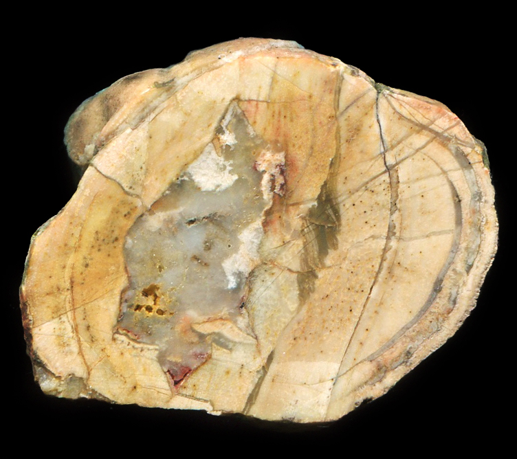Large Salmon Pink Sadgill #1 Thunderegg