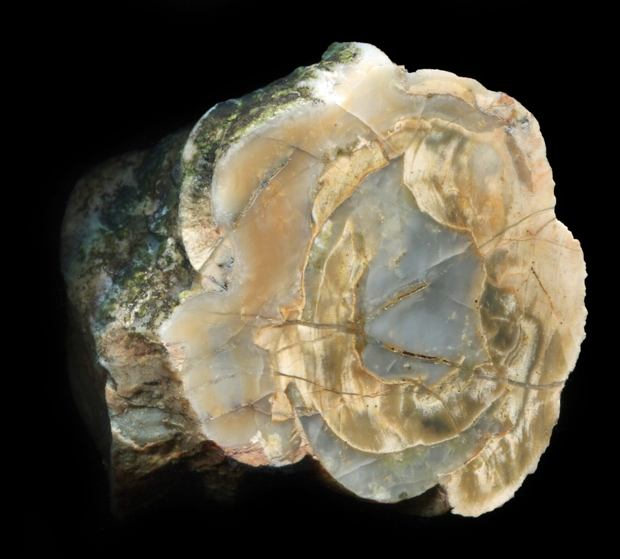 Sadgill #2 Thunderegg with Complex Structure