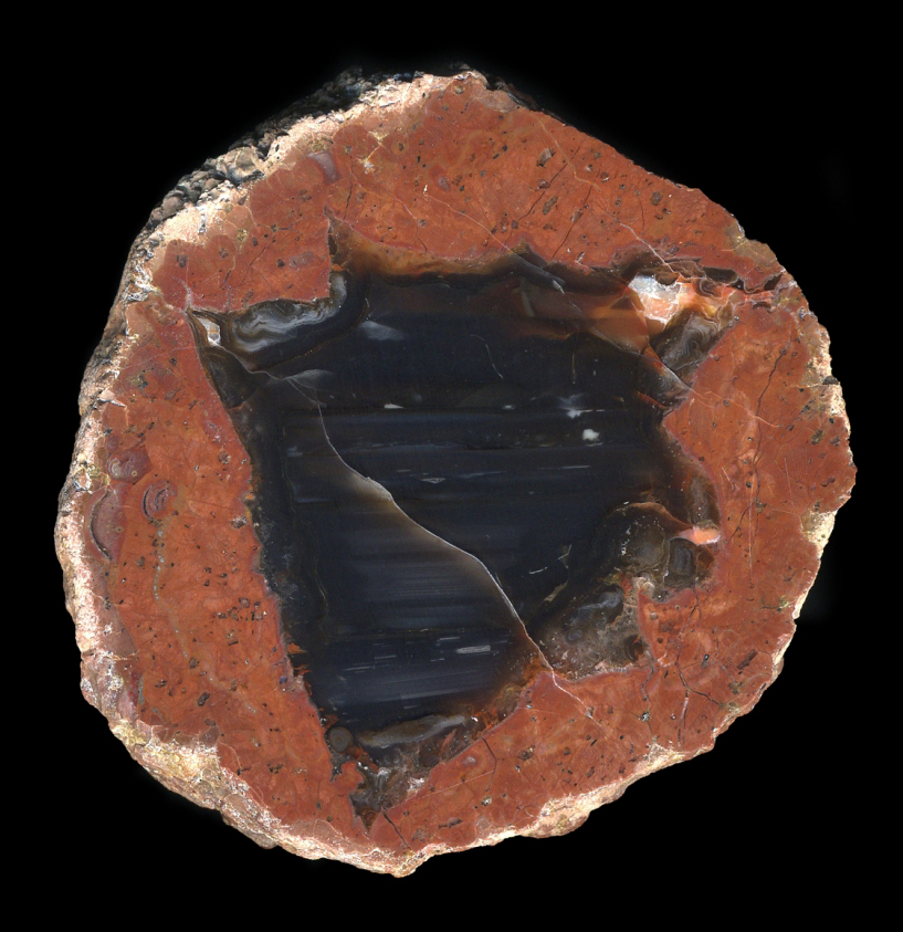 Back Hills Thunderegg - "the Coyote Stone"