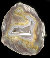 Dutch Donny Thunderegg