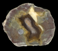 Dutch Donny Thunderegg