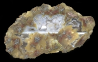 Dutch Donny Thunderegg