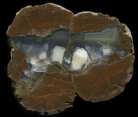Wild Iris Bed Thunderegg