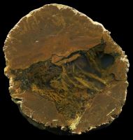 Wild Iris Thunderegg