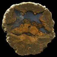 Wild Iris Thunderegg