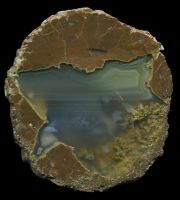 Wild Iris Thunderegg