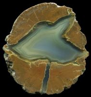 Wild Iris Thunderegg