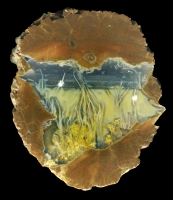Wild Iris Bed Thundereggs