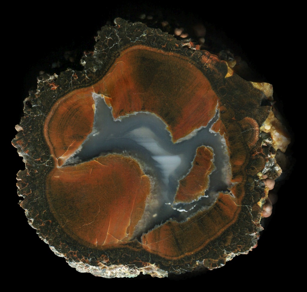 Classic and Unusually Complete Atypical Hooker Creek Thunderegg