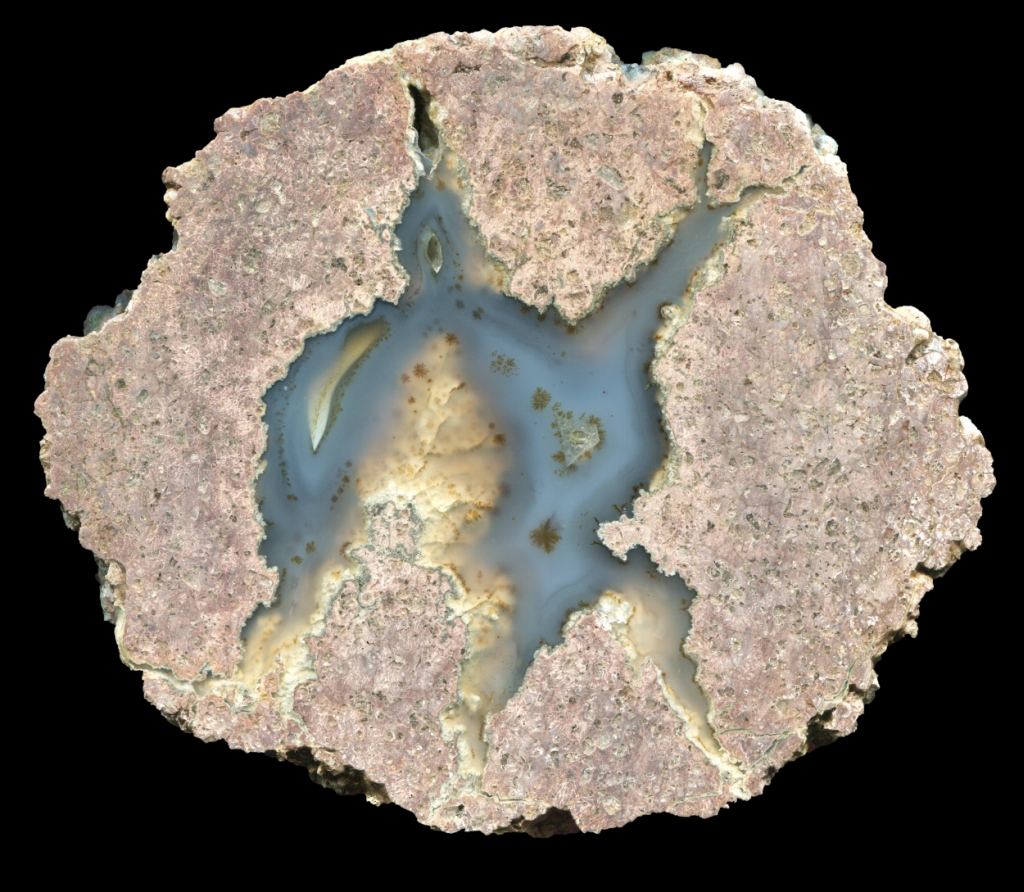 Large Succor Creek Thunderegg with Snowflake Dendrites