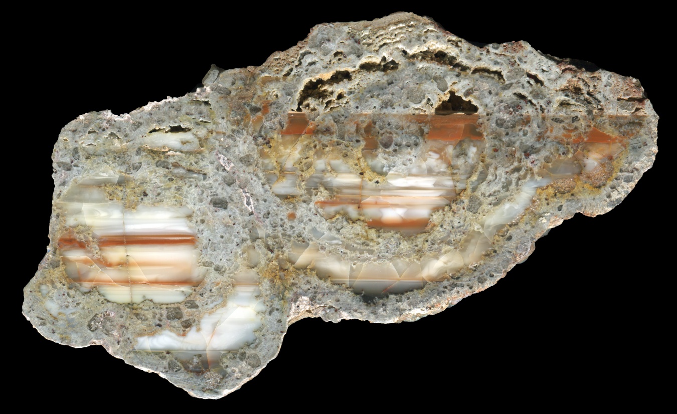 Complex Succor Creek Opal Bed Thunderegg with Waterline Opal Throughout