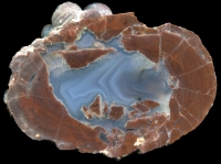 Blue Bed Thunderegg with Blazing White Agate