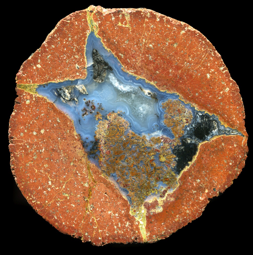 Large and Complex Redwing Thundregg