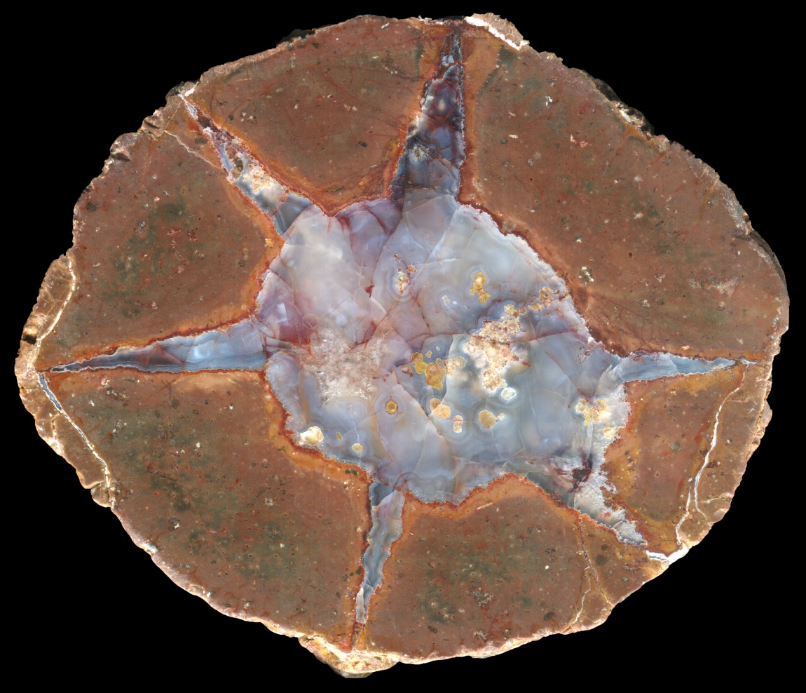 Back 40 Bed Thunderegg with Colourful Stained Cracks