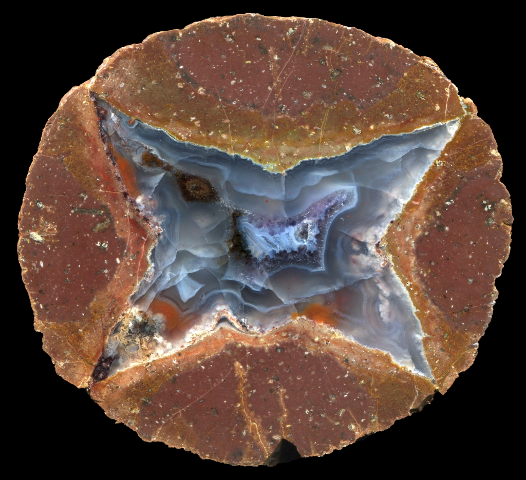 Bed 79 Egg with Golden Moss