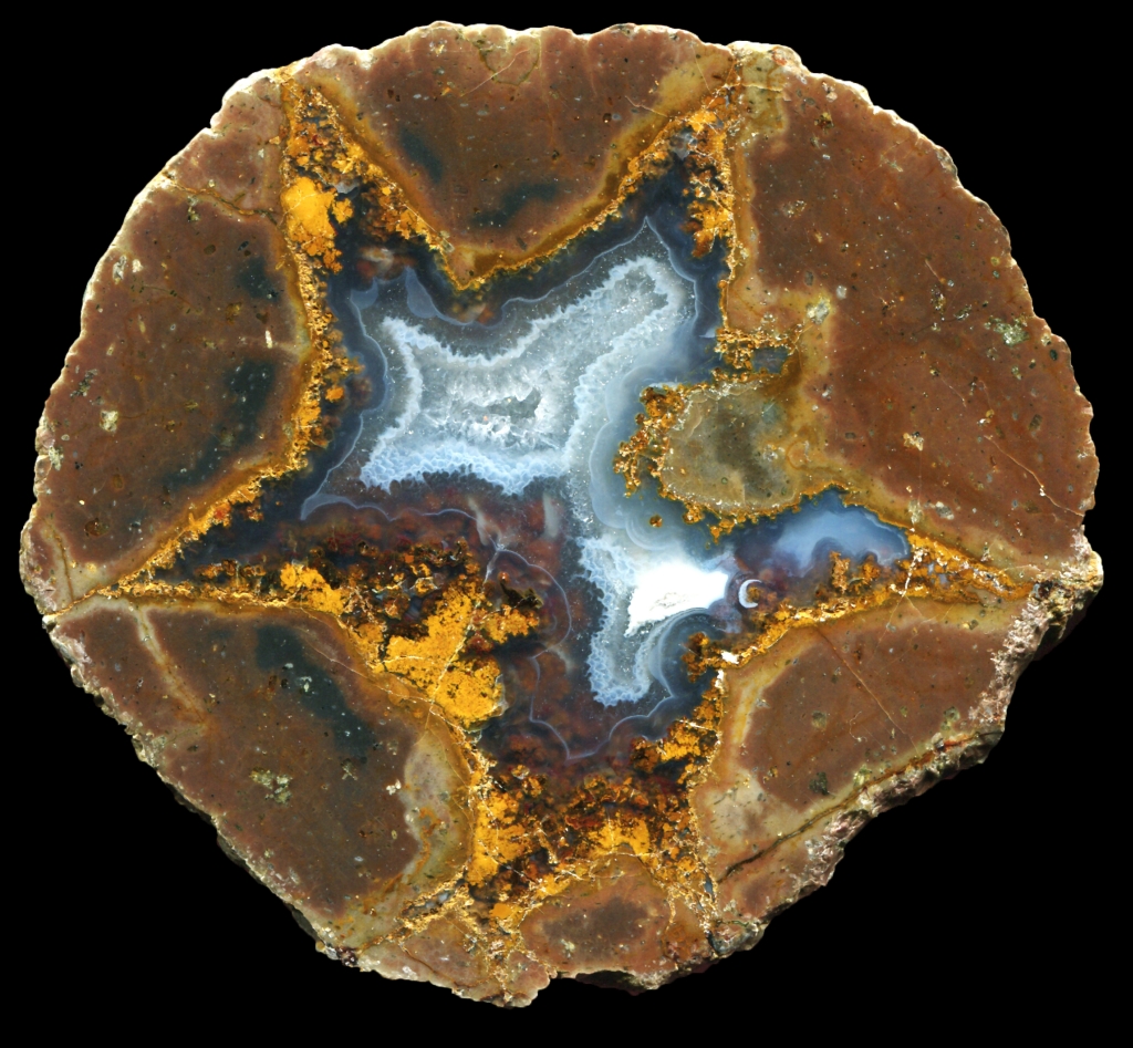 Bed 79 Egg with Golden Moss