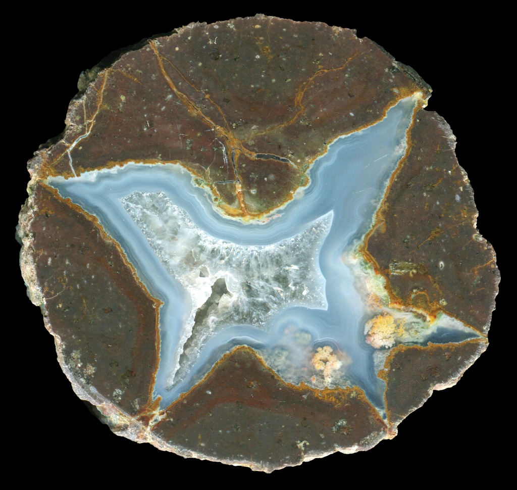 Bed 79 Thunderegg with Small Plume Growths