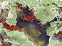 detail