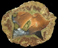 Large WM13 Thunderegg with Shallow Agate Pool